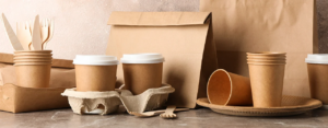 buying-guide-eco-takeout